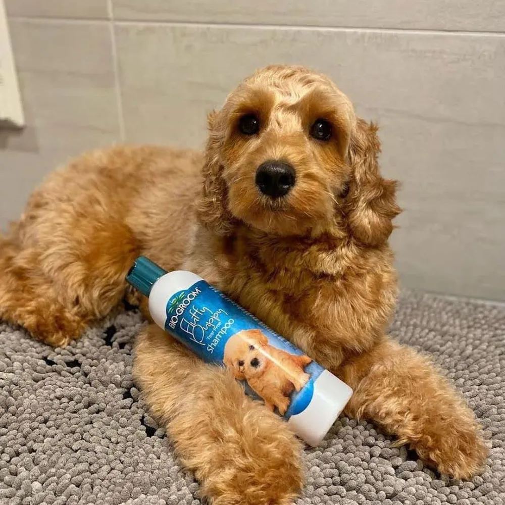 Bio Groom Fluffy Puppy Tear Free Shampoo for Dogs