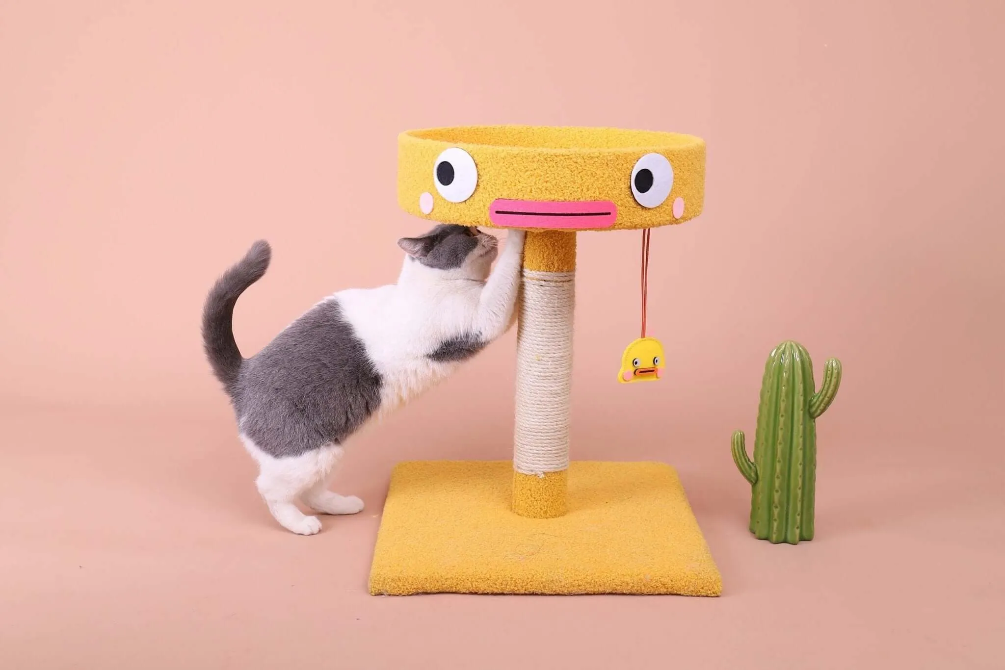 Cartoon Clumsy Chicken Cat Scratcher Tree