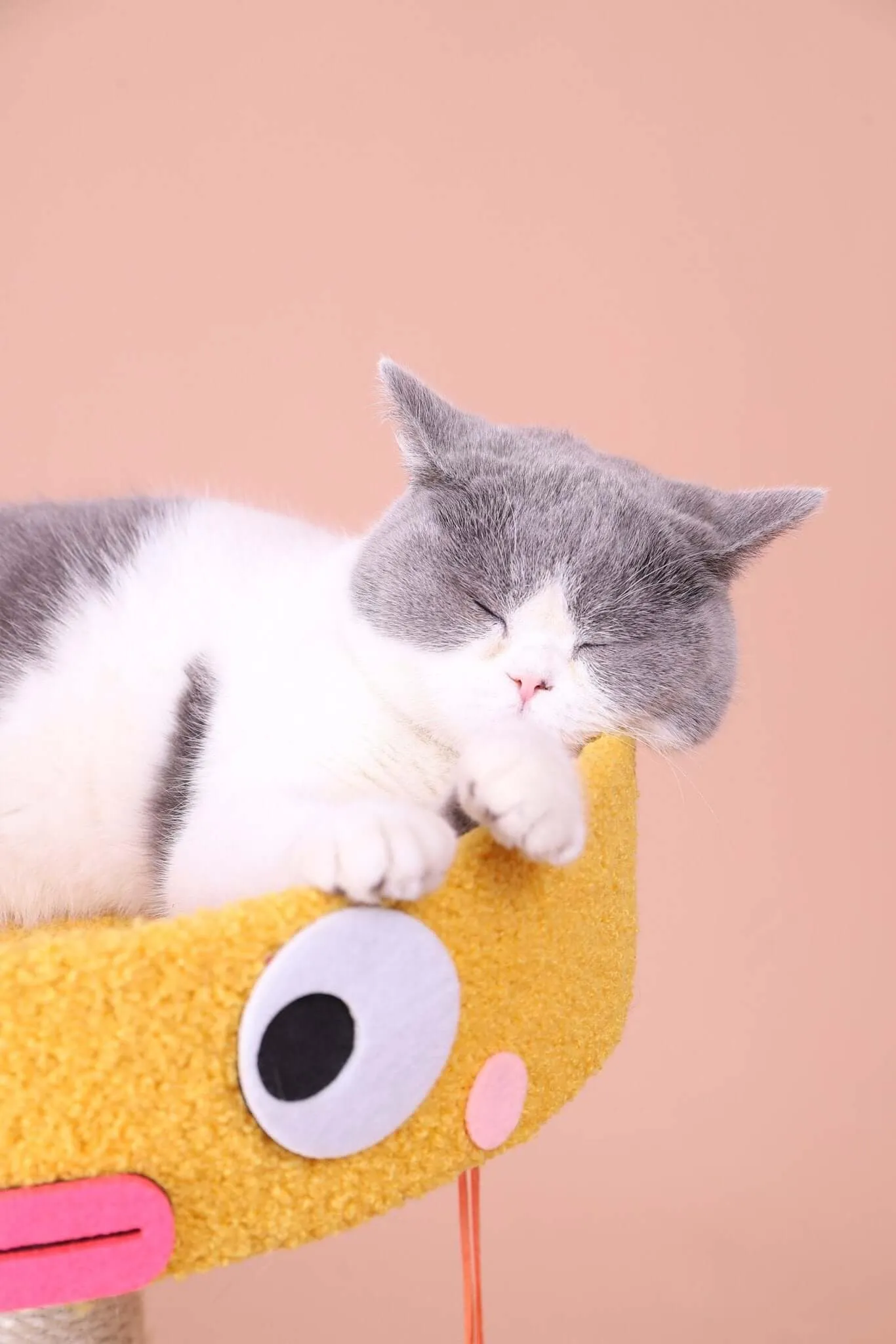 Cartoon Clumsy Chicken Cat Scratcher Tree