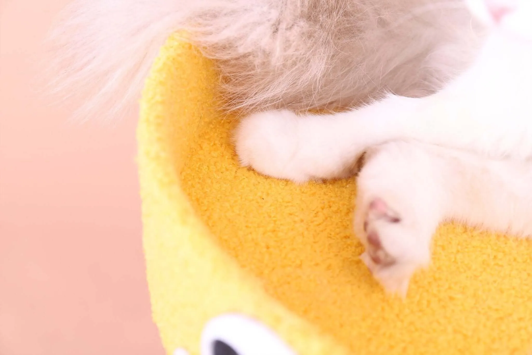 Cartoon Clumsy Chicken Cat Scratcher Tree