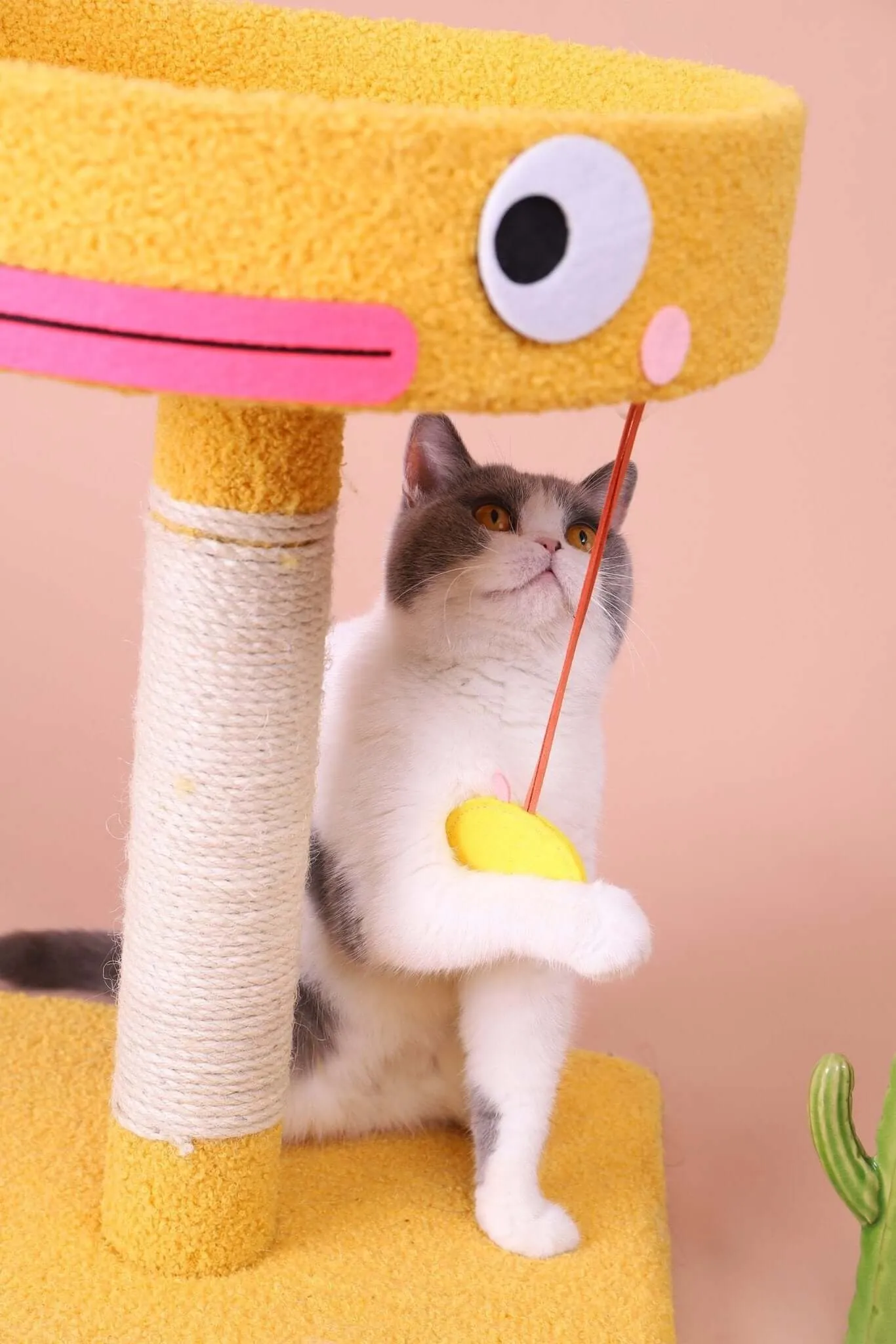 Cartoon Clumsy Chicken Cat Scratcher Tree