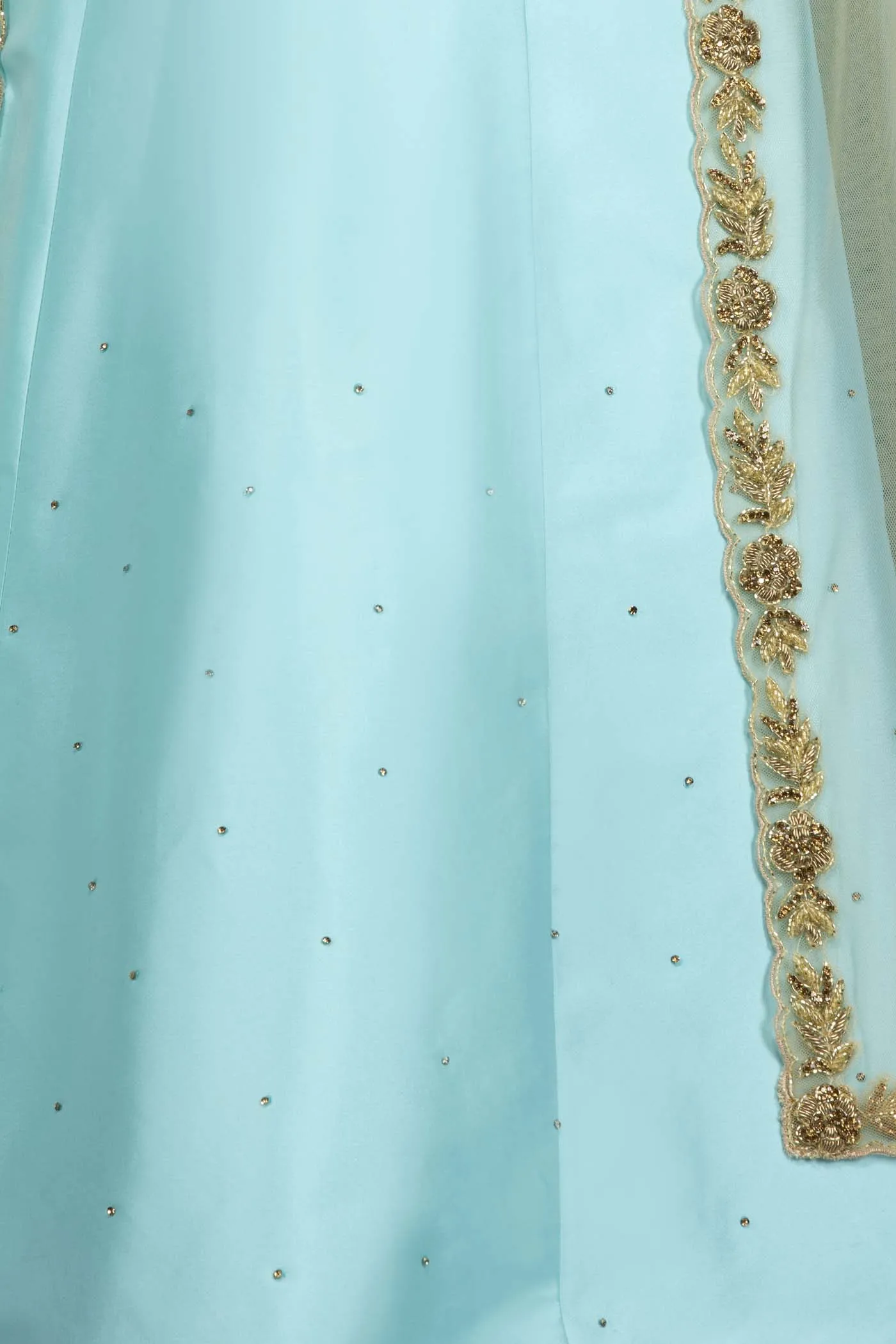 Ferozi Blue Silk Skirt Paired With A Gold Net Cape