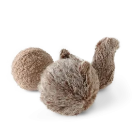 Squirrel POP